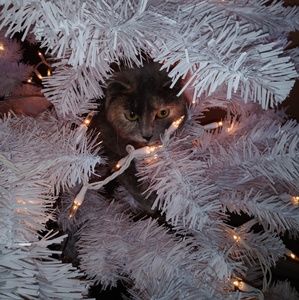 Meet your Posher, Vera